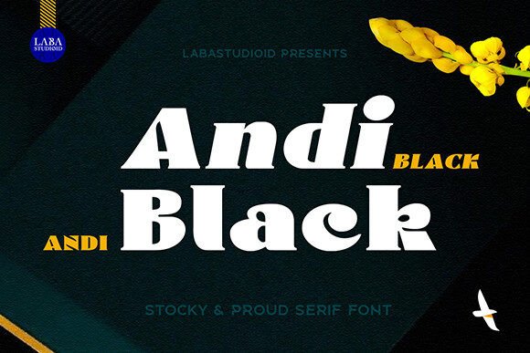 Andi Black: A Serif Font for Modern Campaign Design