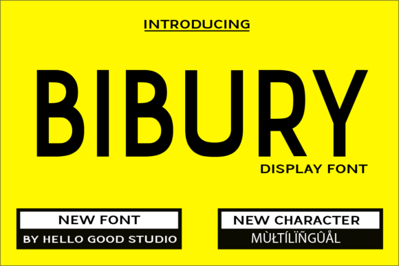 Bibury: A Versatile Sans Serif for Modern Design