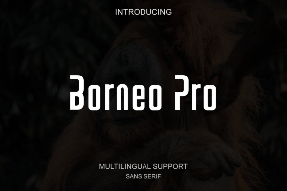 Borneo Pro: A Modern Sans Serif for Editorial Elegance