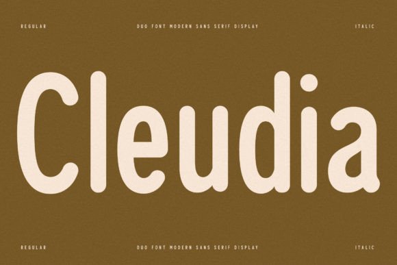 Cleudia Serif Font for Professional Branding