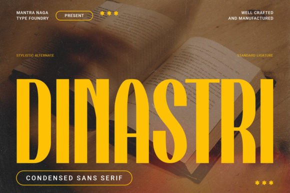 Dinastri: A Modern Sans Serif Font for Craft Creations