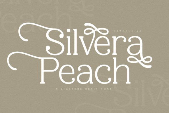 Silvera Peach Serif Font for Elegant Editorial Design